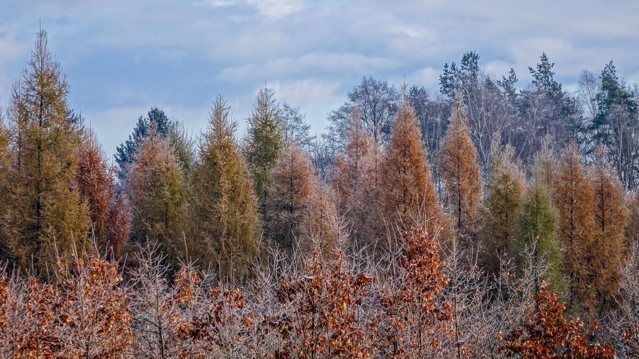 Fot. TwojaPogoda.pl