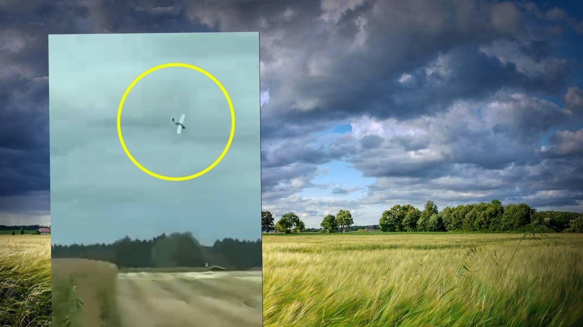 Awionetka spadła na pole. Nie żyją dwie osoby