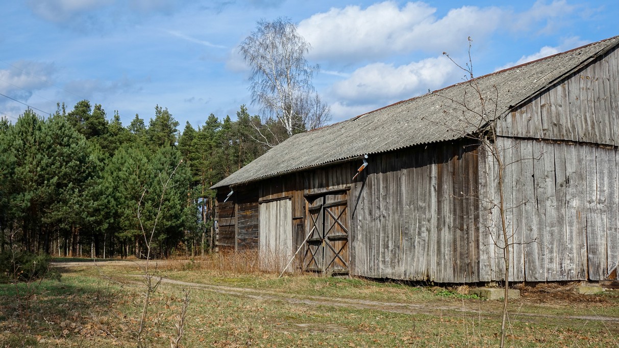Marzec w obiektywie - zdjęcie 4