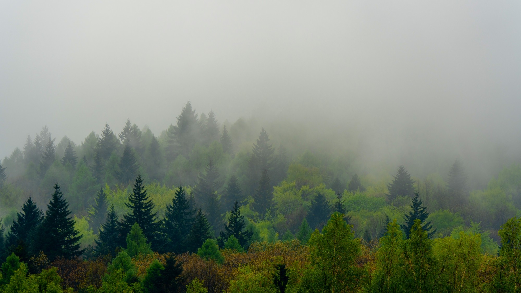 Zachwycający maj - zdjęcie 11