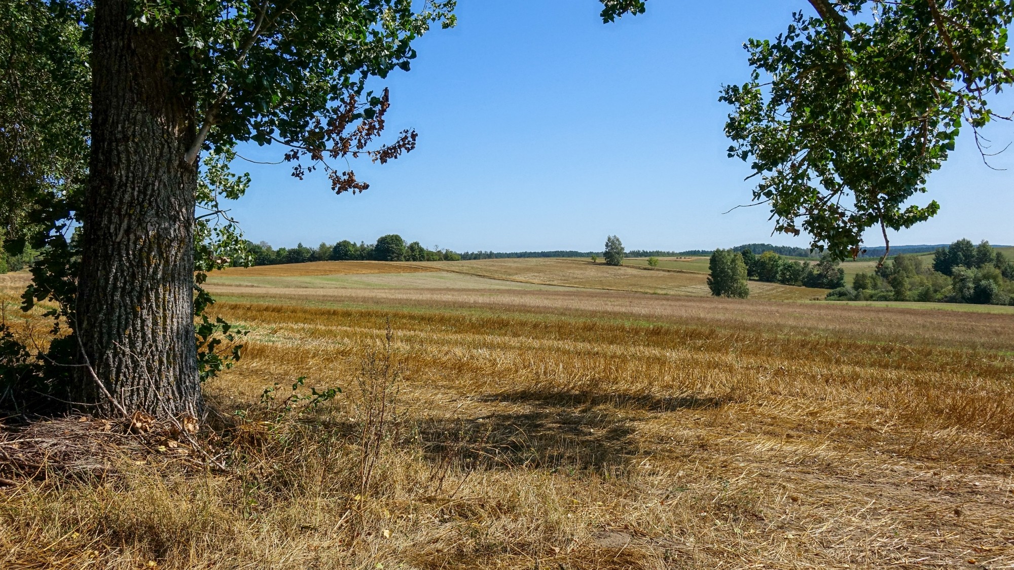 Sierpień w obiektywie - zdjęcie 20