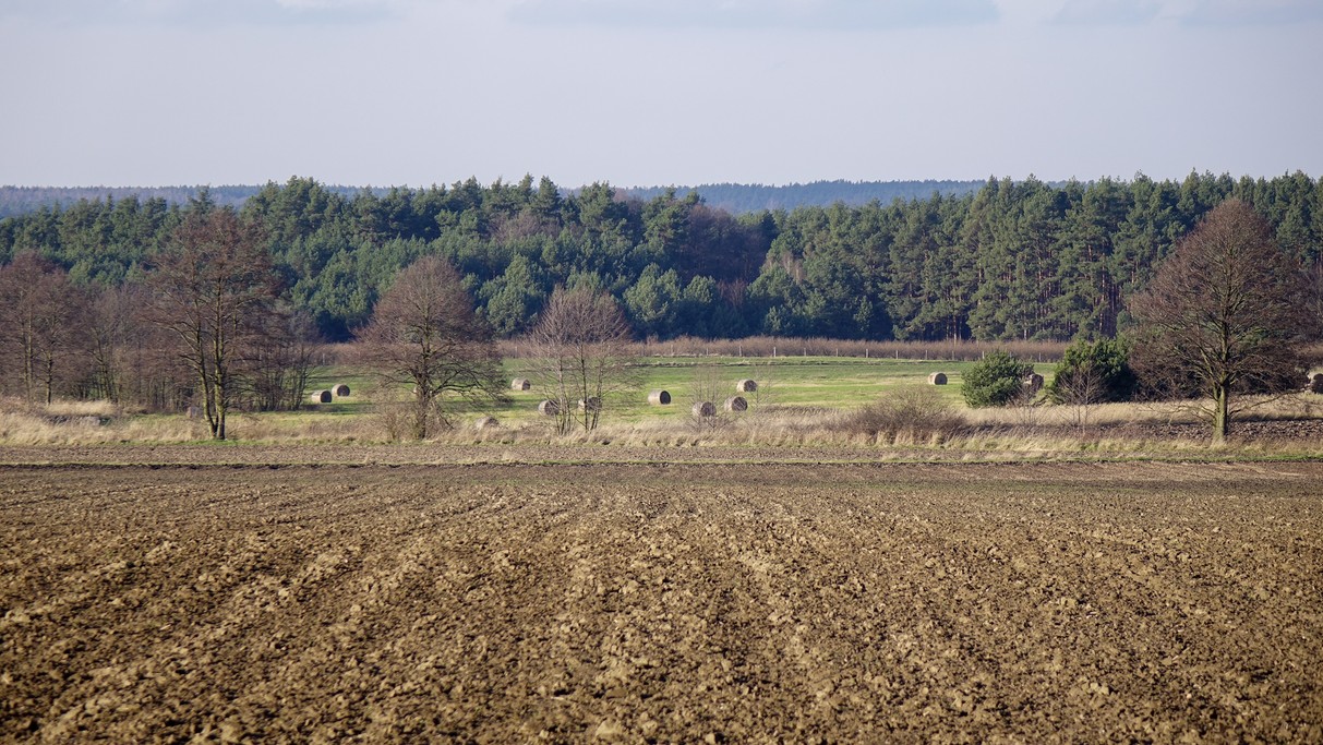 Grudzień w obiektywie - zdjęcie 34