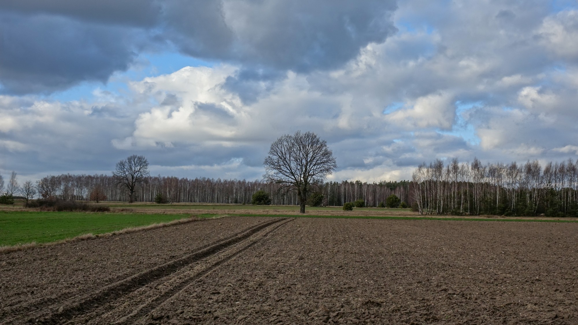 Najcieplejsza zima w historii - zdjęcie 37