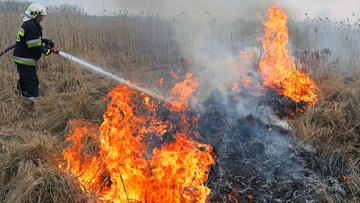 Pożar największego parku narodowego w Polsce