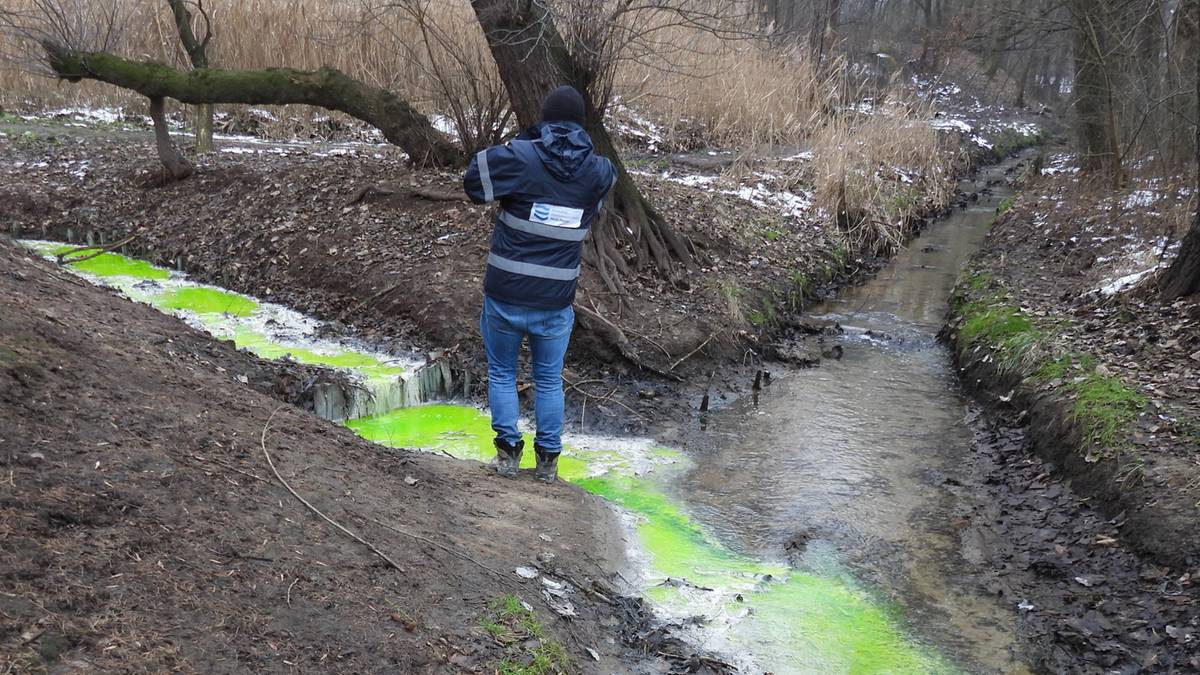 Rzeką popłynęła zielona woda. "Potwierdzono obecność uraniny"