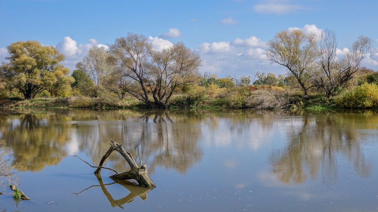 Nad morzem, jeziorami i rzekami - zdjęcie 69