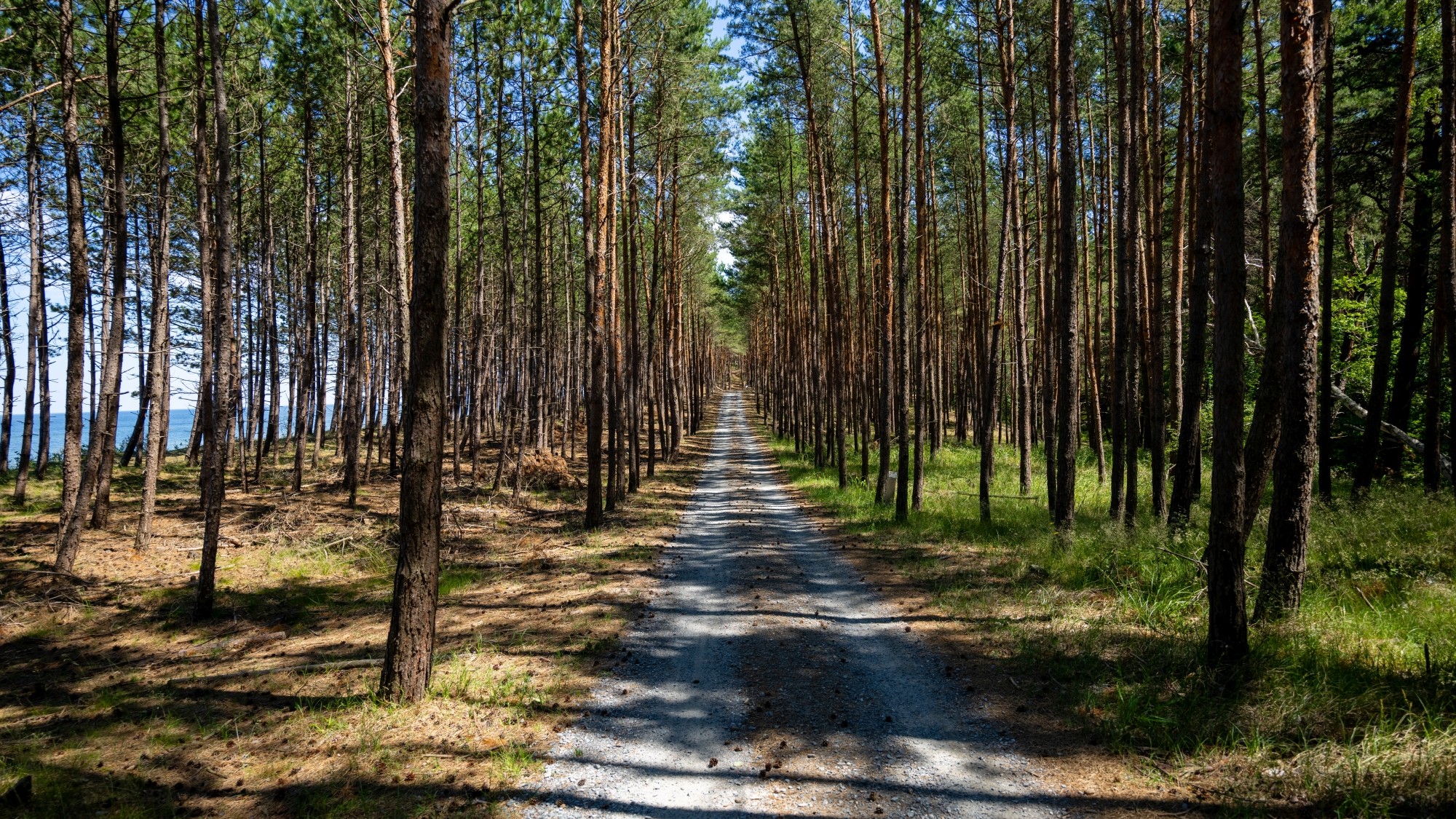 Kolory lata - zdjęcie 49