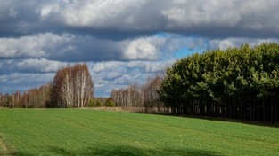 06.02.2020 10:00 Te zdjęcia Polski szokują. Najcieplejsza zima w historii pomiarów przypomina wiosnę