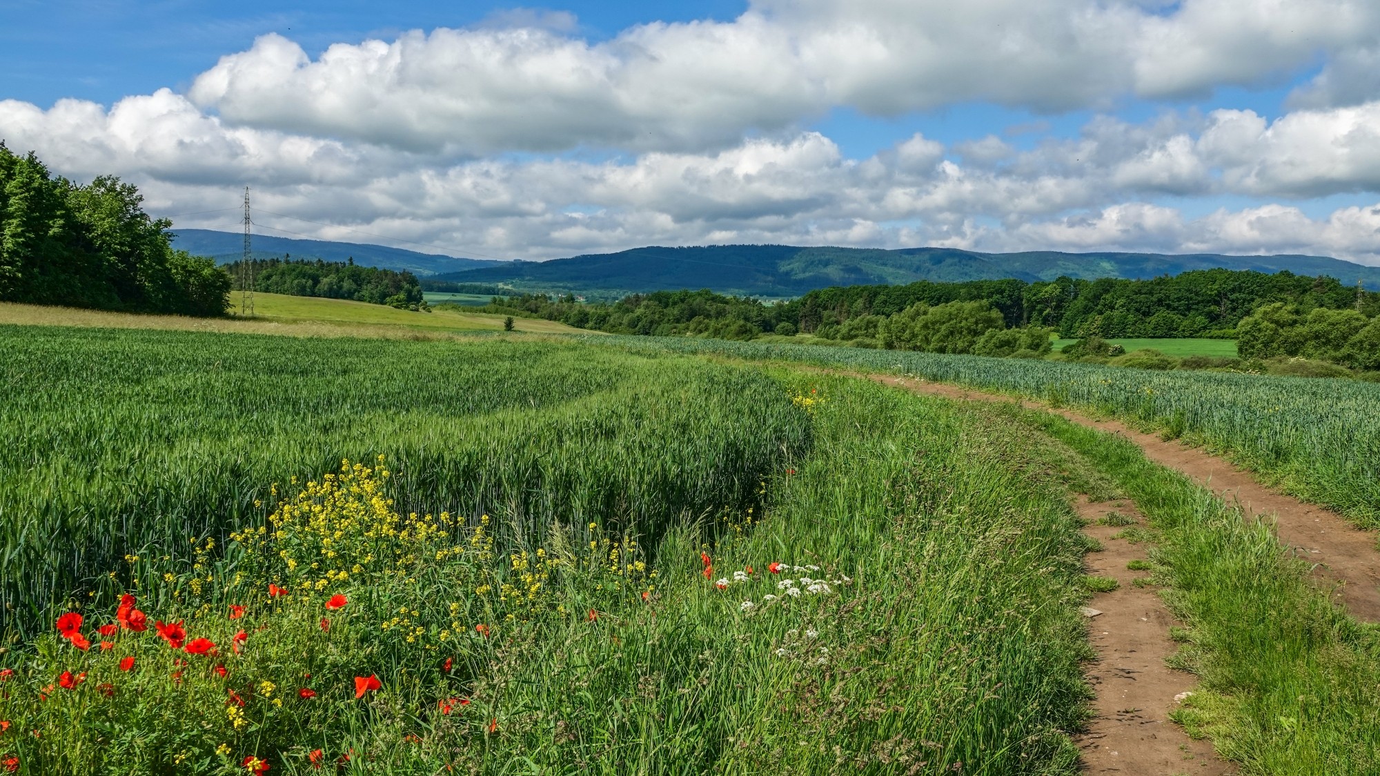 Cztery wakacyjne oblicza Polski - zdjęcie 22