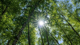 23.05.2022 05:56 Złe wieści. Dzień wkrótce zacznie się skracać. Kiedy to się stanie i jak dużo go jeszcze przybędzie?