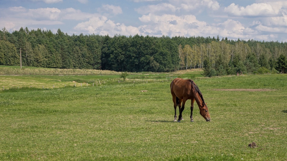 Czerwiec w obiektywie - zdjęcie 37