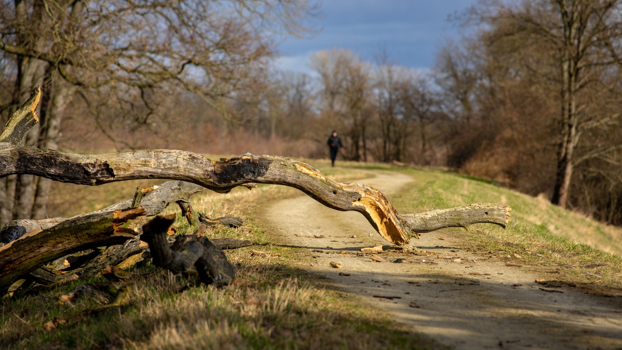 Wiosna coraz bliżej - zdjęcie 7