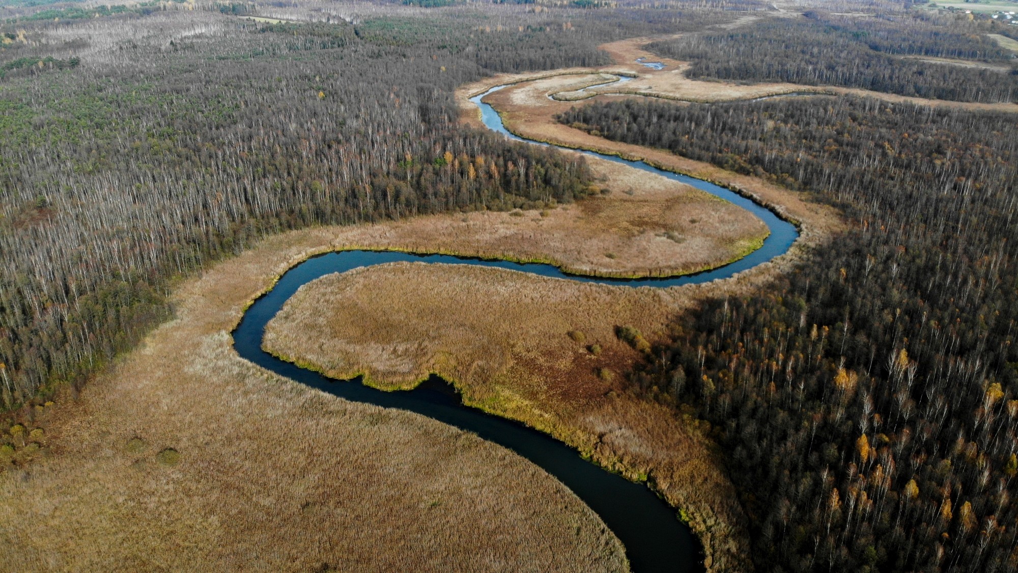 Jesień na nizinach z lotu ptaka - zdjęcie 7