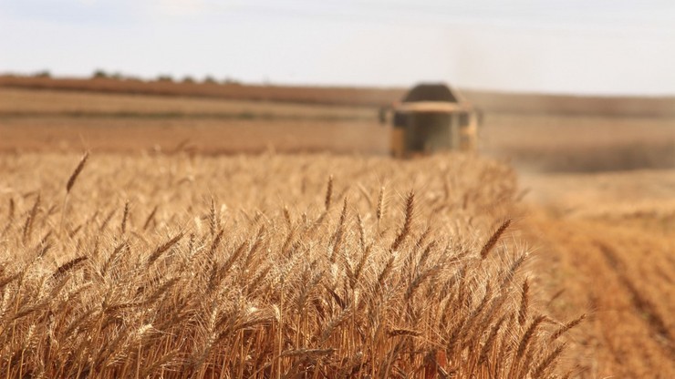 Władze Ukrainy: sankcje nałożone na Rosję nie są powodem kryzysu żywnościowego
