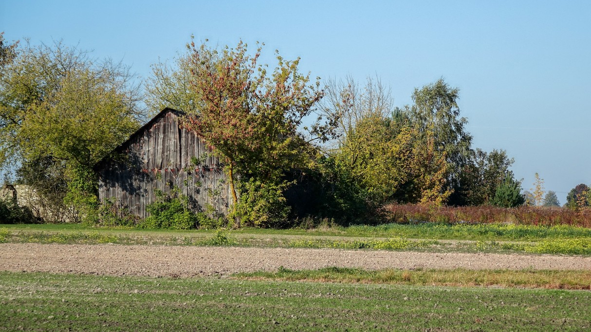 Jesienne krajobrazy za miastem - zdjęcie 75