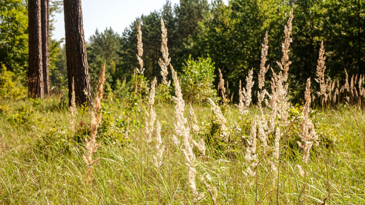 Lipiec w obiektywie - zdjęcie 38