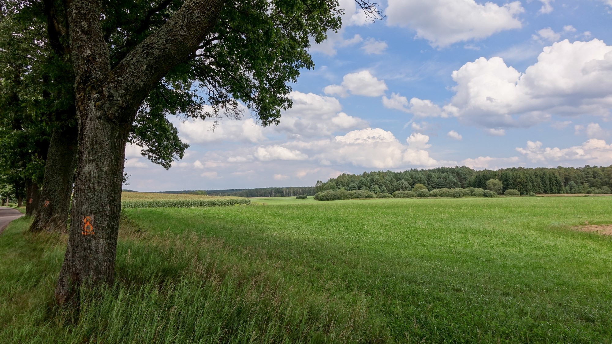 Wakacje minionych lat - zdjęcie 31