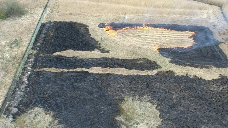 Część osób uważa, że to wypalania traw użyźnia glebę, co jest oczywiście mitem 