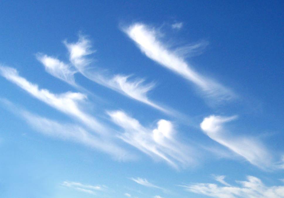 Cirrus uncinus. Fot. CC BY-SA 3.0, https://commons.wikimedia.org/w/index.php?curid=121109