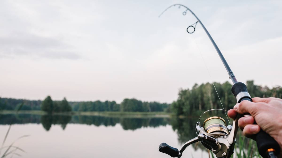 Wędzony śledź ma bogatą historię na ziemiach polskich.