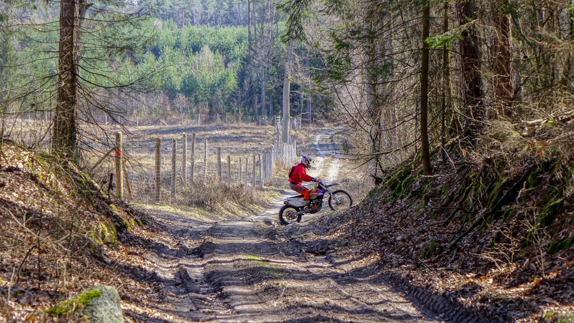 Ludzie na łonie natury - zdjęcie 32