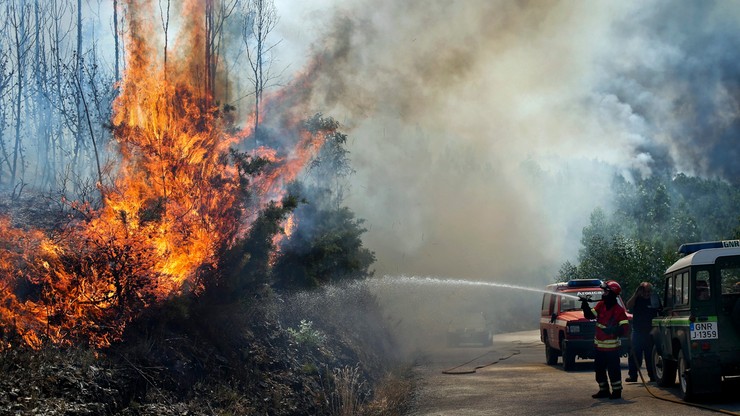Pożary lasów na Maderze. Zatrzymano mężczyznę podejrzanego o wzniecenie ognia