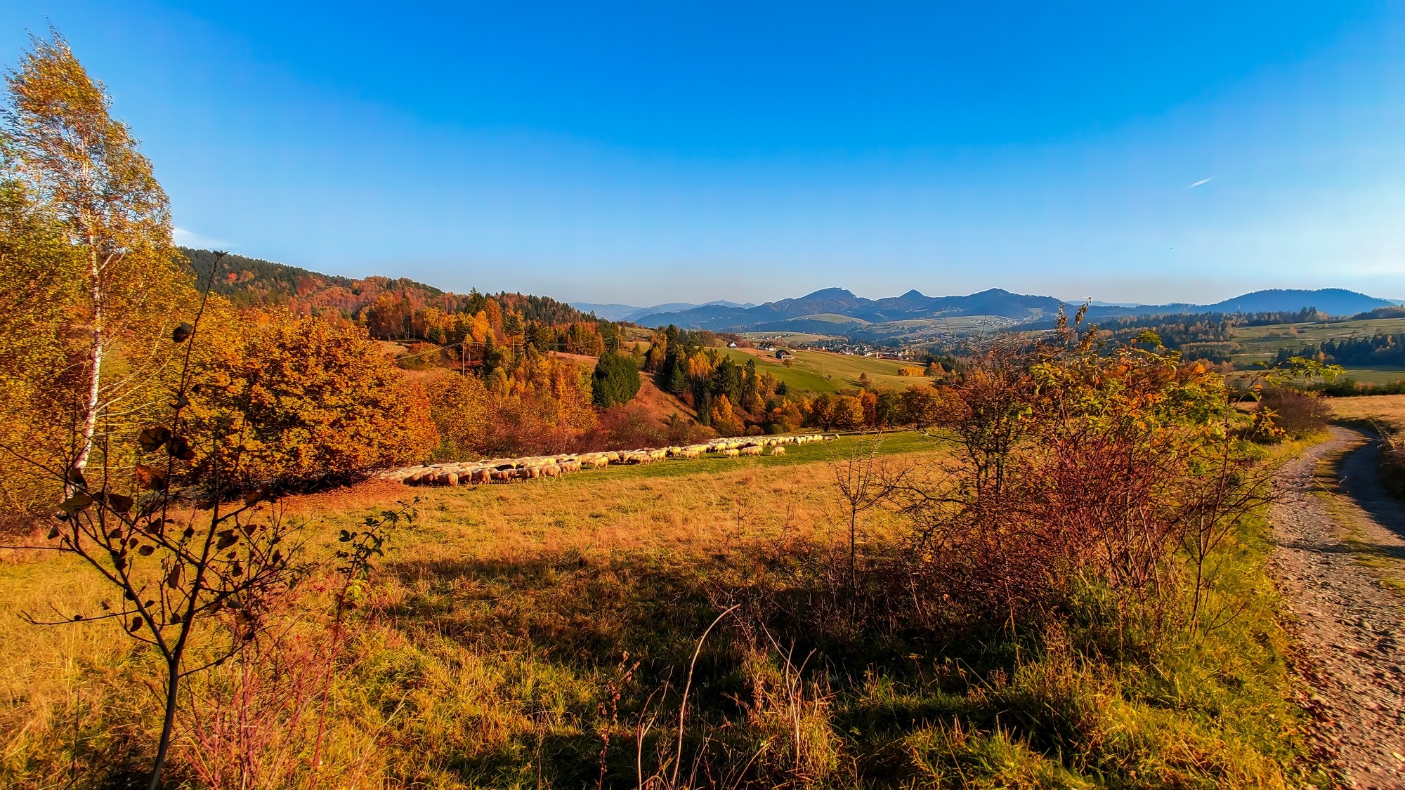 Polska jesienią - zdjęcie 55