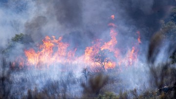 Pogranicze Portugalii i Hiszpanii w ogniu. 90 pożarów, są ofiary śmiertelne 