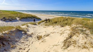 07.08.2021 06:30 Zobacz spacer przez najpiękniejsze polskie plaże, od Świnoujścia przez Kołobrzeg po Krynicę Morską