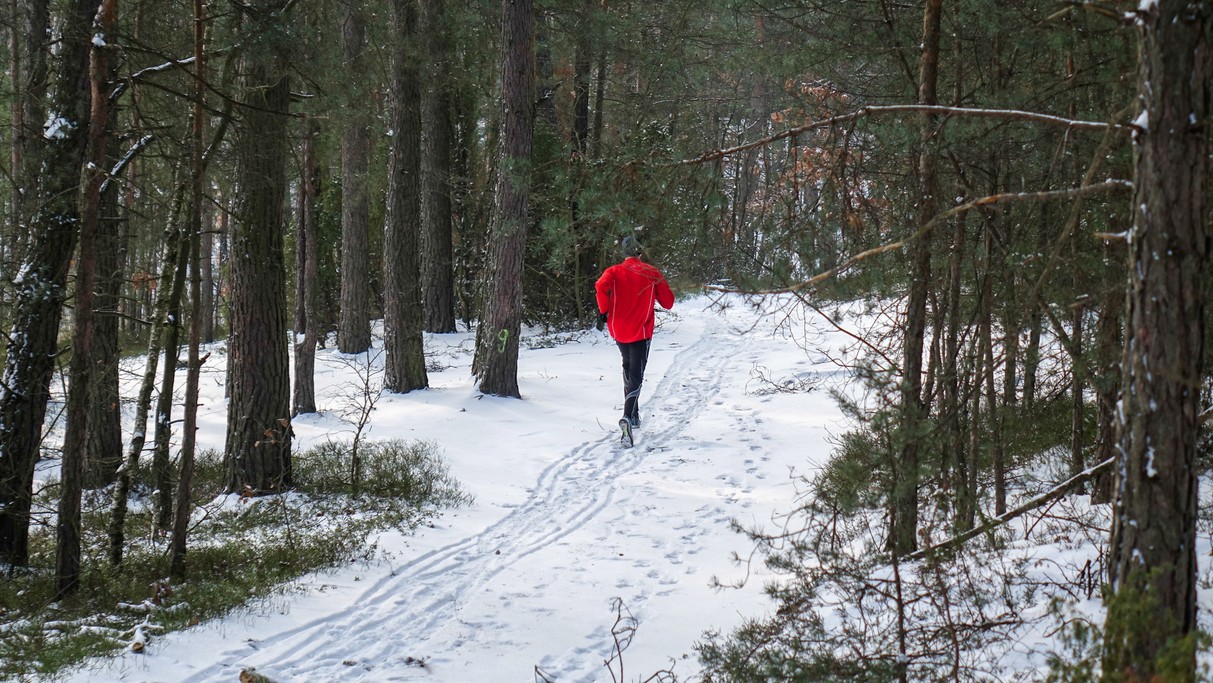 Styczeń w obiektywie - zdjęcie 67