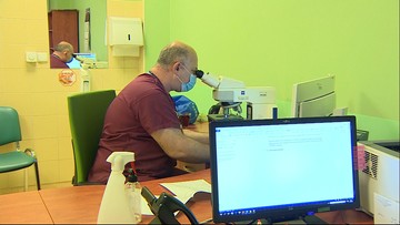 Przełomowa metoda leczenia nowotworów krwi. Jest szansa dla polskich pacjentów