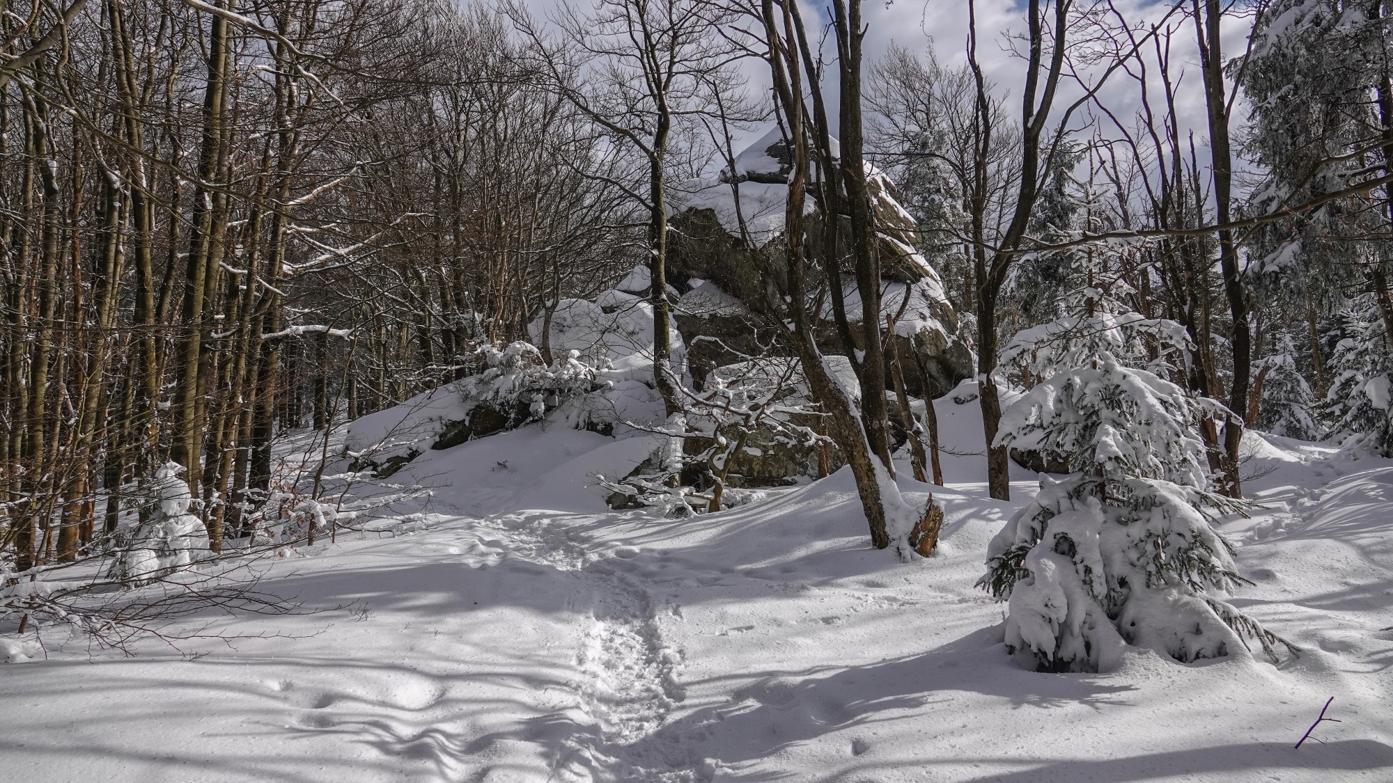 Góry Sowie, Suche i Kamienne - zdjęcie 19