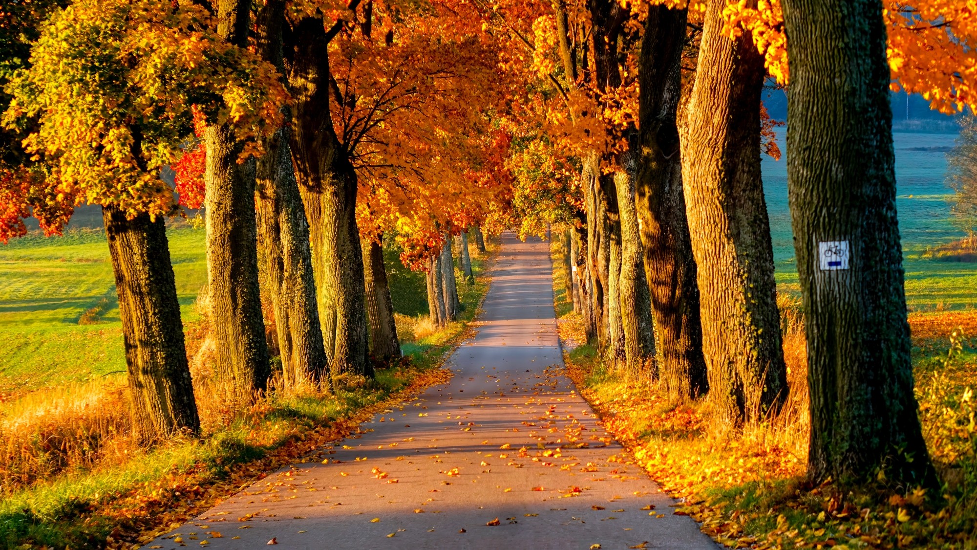 Polska jesienią - zdjęcie 20