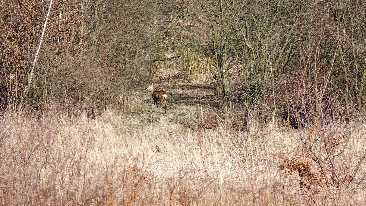 Luty w obiektywie - zdjęcie 35