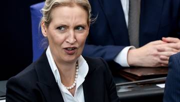 Hakerzy uderzyli w  AfD. Wykradziono ponad 400 tys. wiadomości
