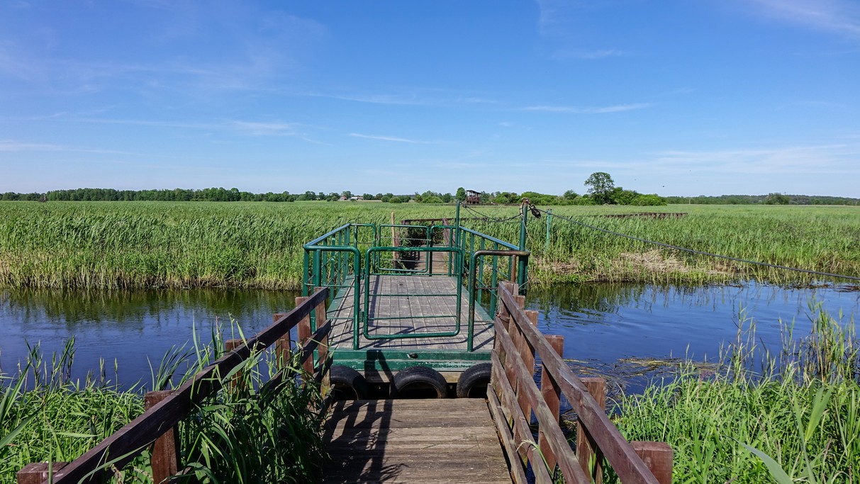 Nad morzem, jeziorami i rzekami - zdjęcie 95