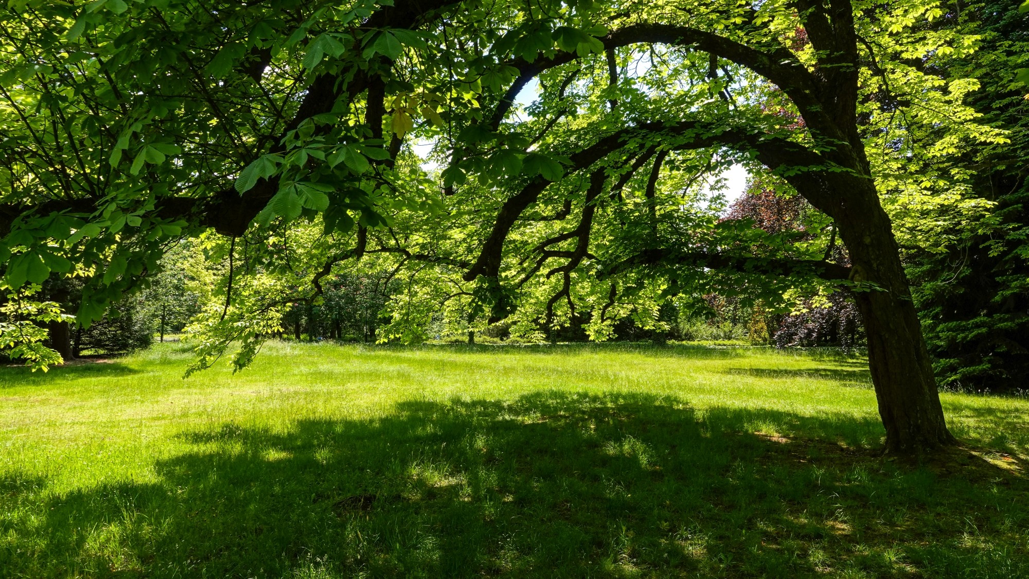 Uroki zielonej pory roku - zdjęcie 47