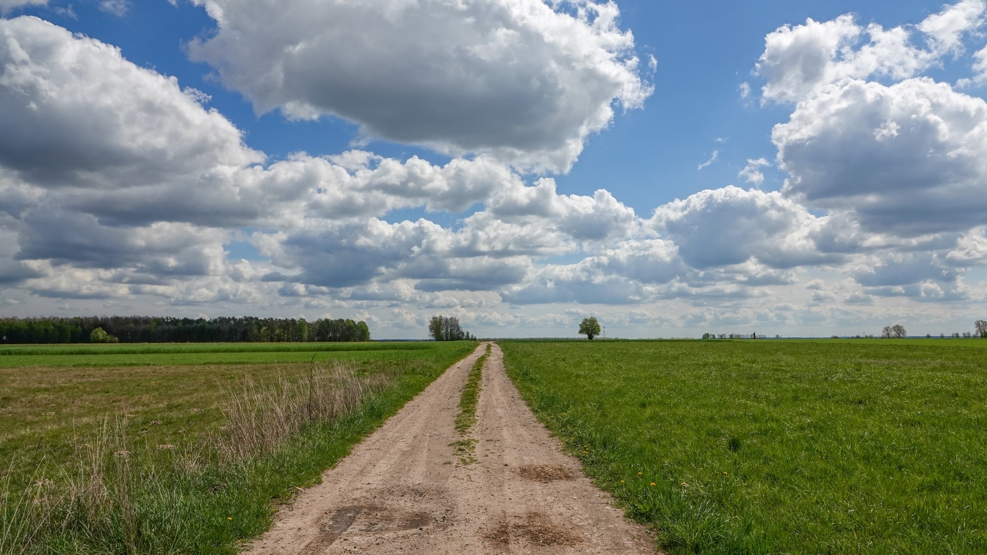 Kwiecień w obiektywie - zdjęcie 73