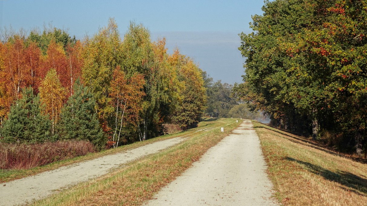 Jesienne klimaty - zdjęcie 5