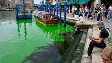 Zielona plama na kanale w Wenecji. Pobrano próbki wody