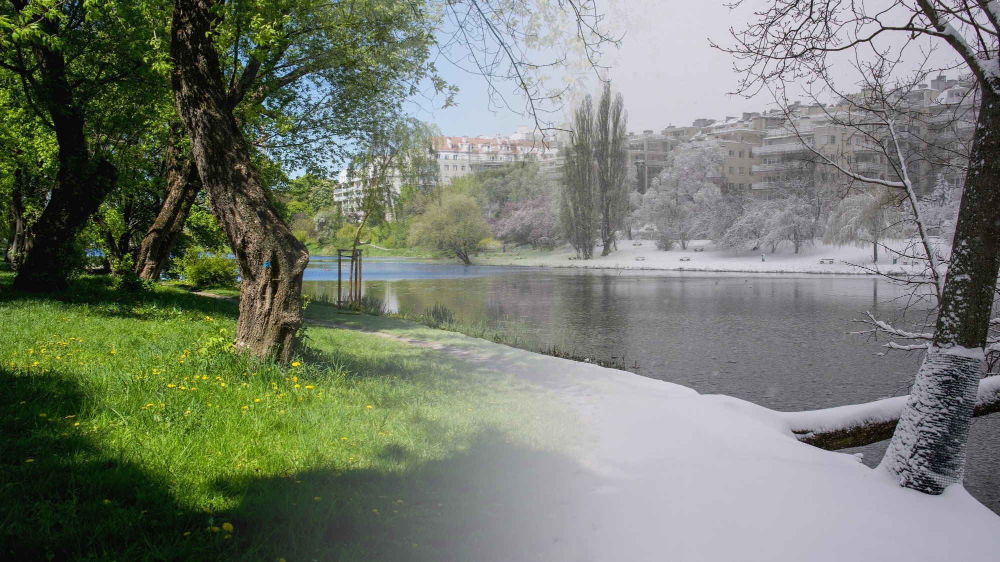 Porównanie wiosny i zimy - zdjęcie 9