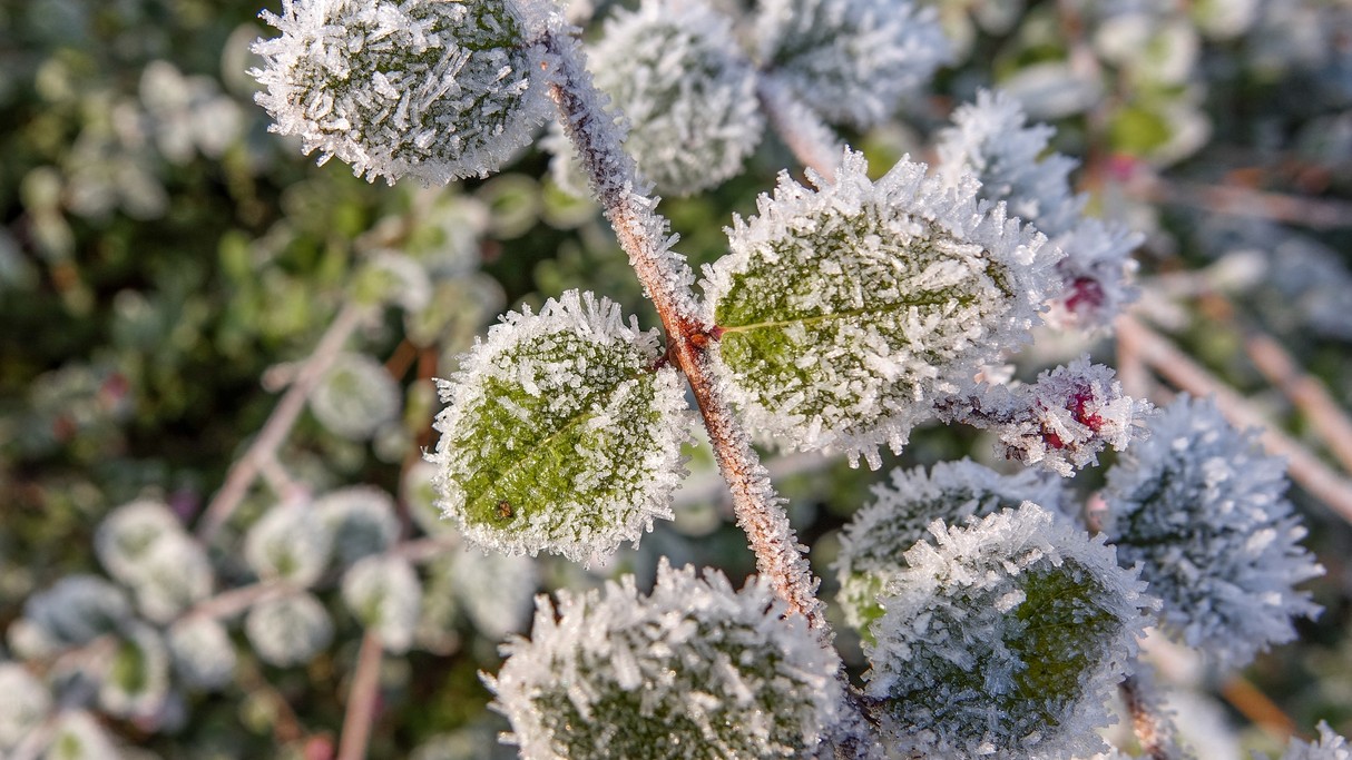 Minione zimy w Polsce - zdjęcie 22