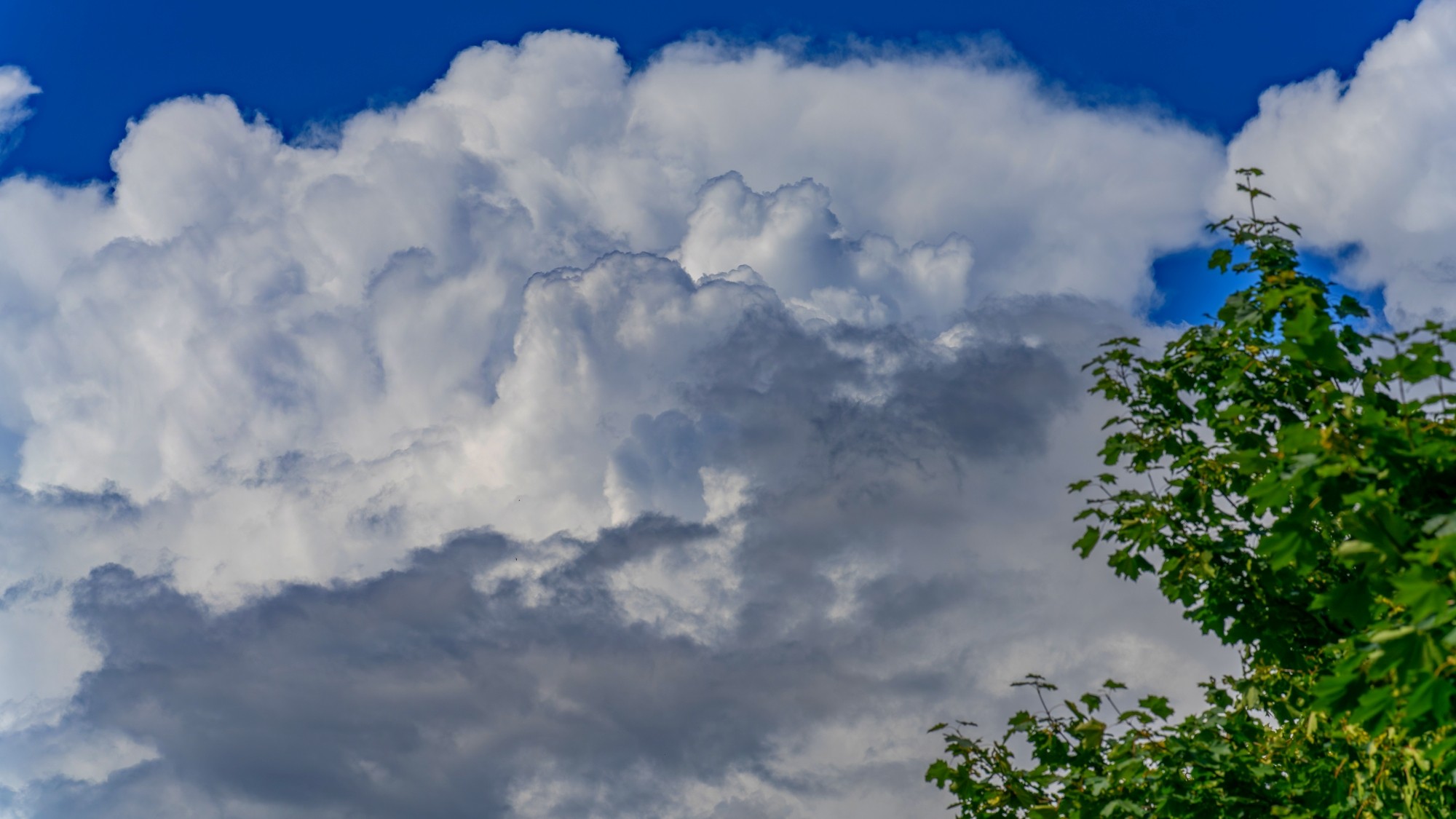 Niebo nad nami - zdjęcie 34