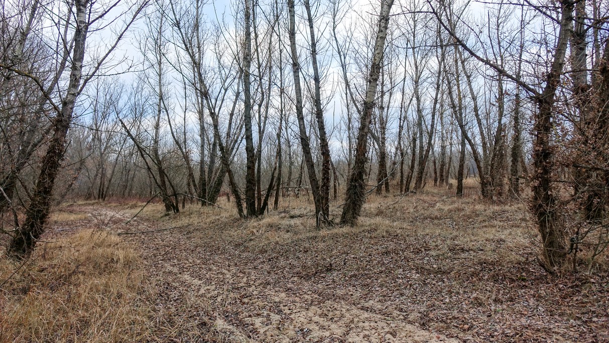 Styczeń w obiektywie - zdjęcie 53