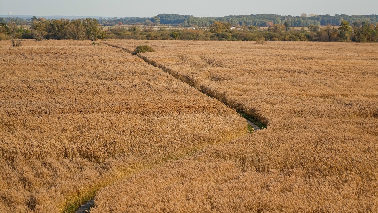 Jesienne krajobrazy za miastem - zdjęcie 59