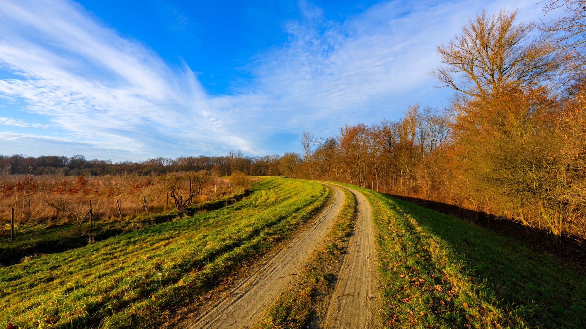 Różne oblicza zimy - zdjęcie 8