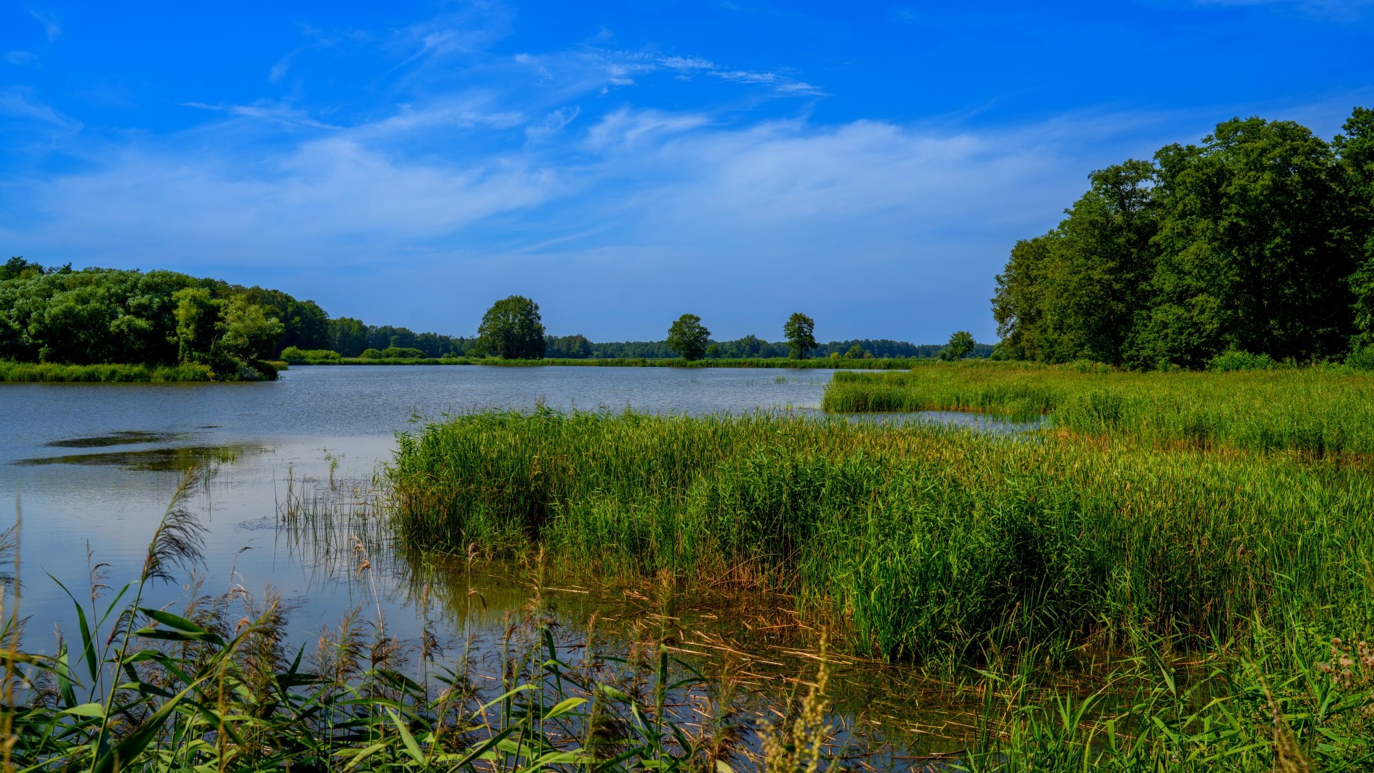 Wśród natury - zdjęcie 20