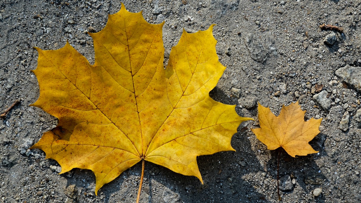 Jesienne klimaty - zdjęcie 20