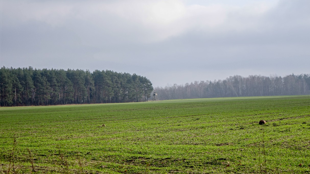 Grudzień w obiektywie - zdjęcie 7