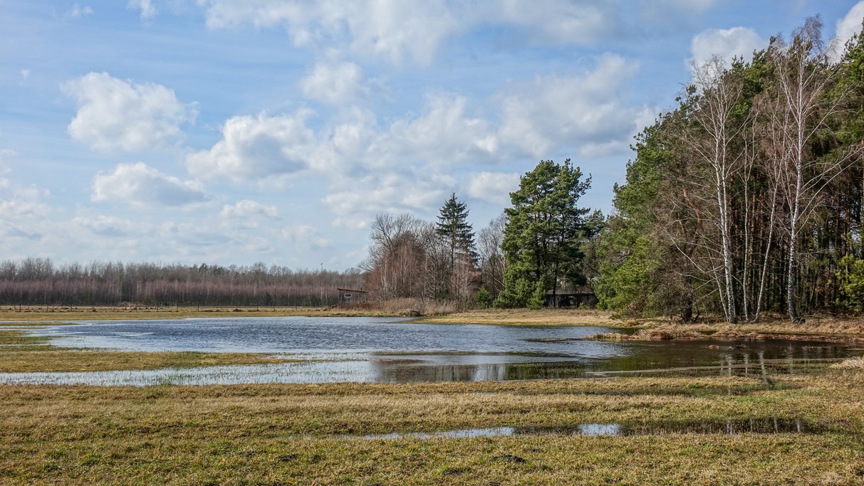 Marzec w obiektywie - zdjęcie 32